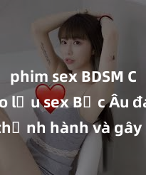 phim sex BDSM Các trào lưu sex Bắc Âu đang thịnh hành và gây sốc trong giới trẻ hiện nay